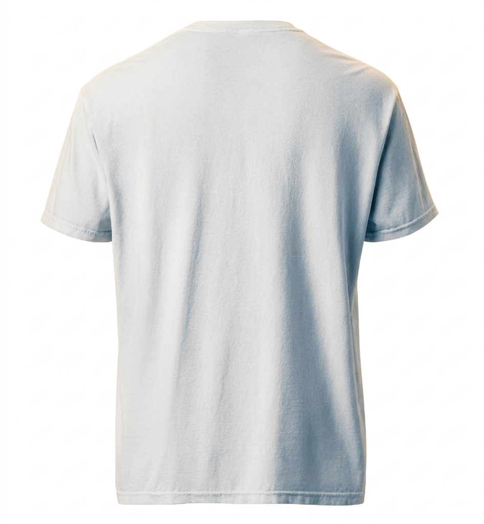 Camiseta Algodón 100%